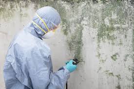 Best Mold Damage Restoration in Middleton, WI